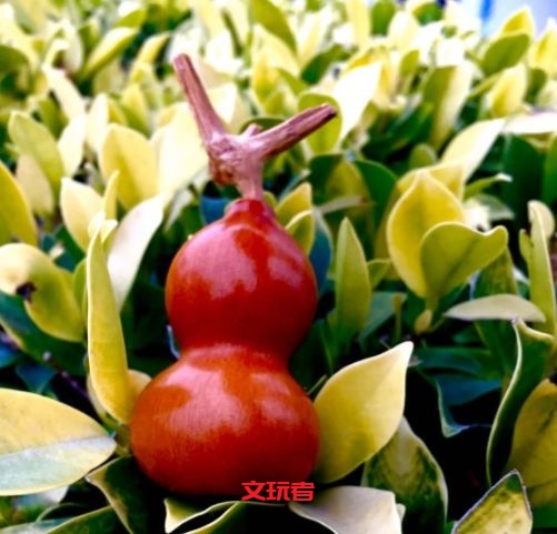 2019年这些文玩最流行，2020年呢？我猜是它们！