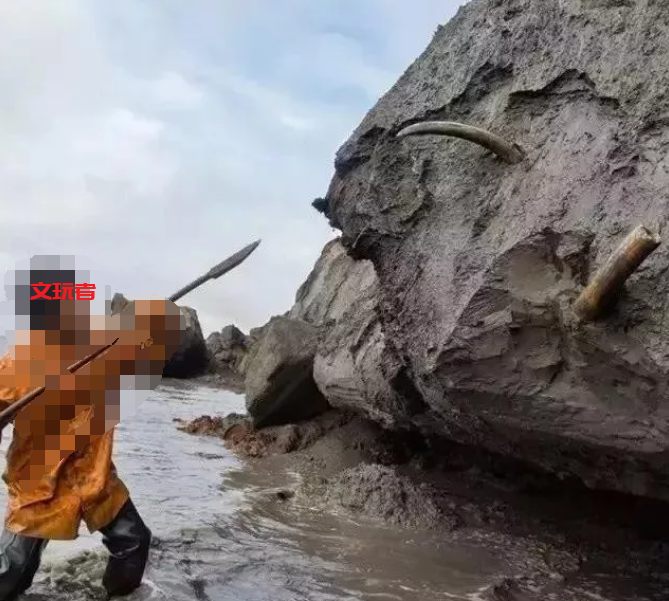 文玩收藏的下一个风口浪尖来了，盘它！！！