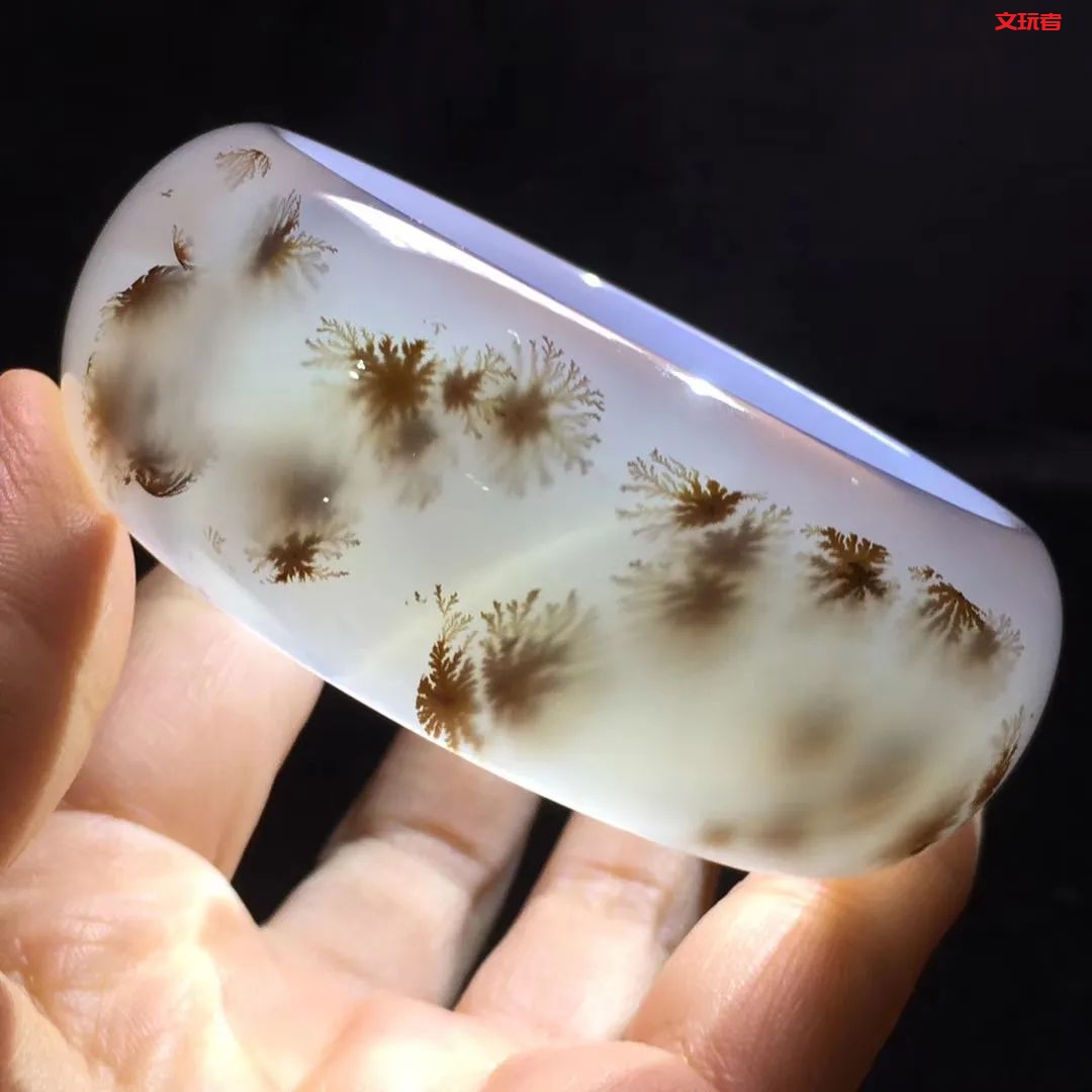 文玩界新宠，来自亿万年前海洋深处的宝贝，值得买吗？