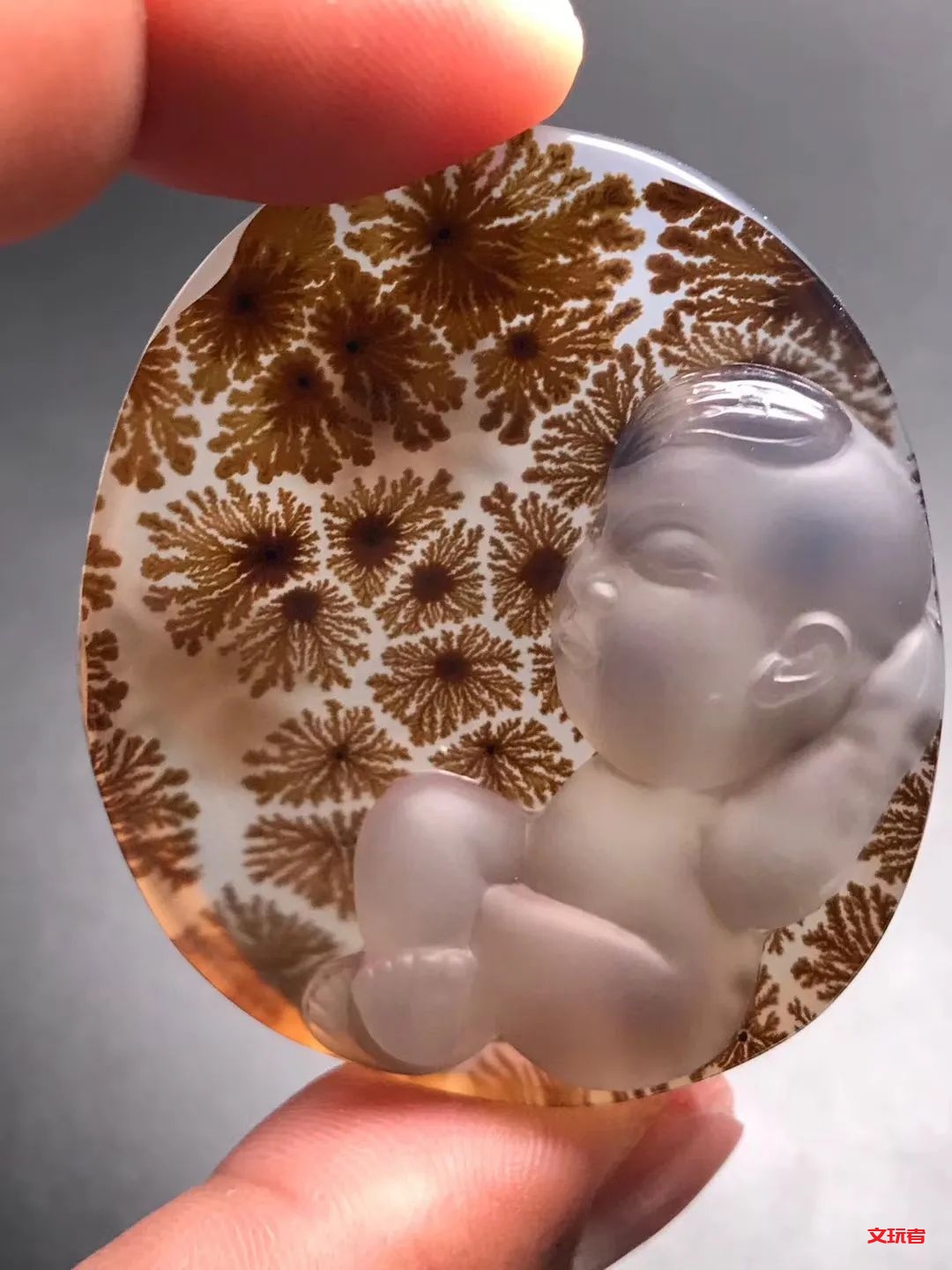 文玩界新宠，来自亿万年前海洋深处的宝贝，值得买吗？