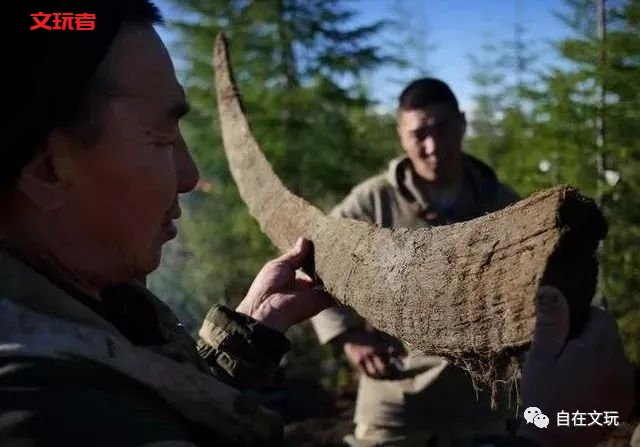 别买了，那些所谓卖披毛犀角的商家99%都是骗子！