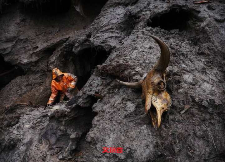 文玩收藏的下一个风口浪尖来了，盘它！！！