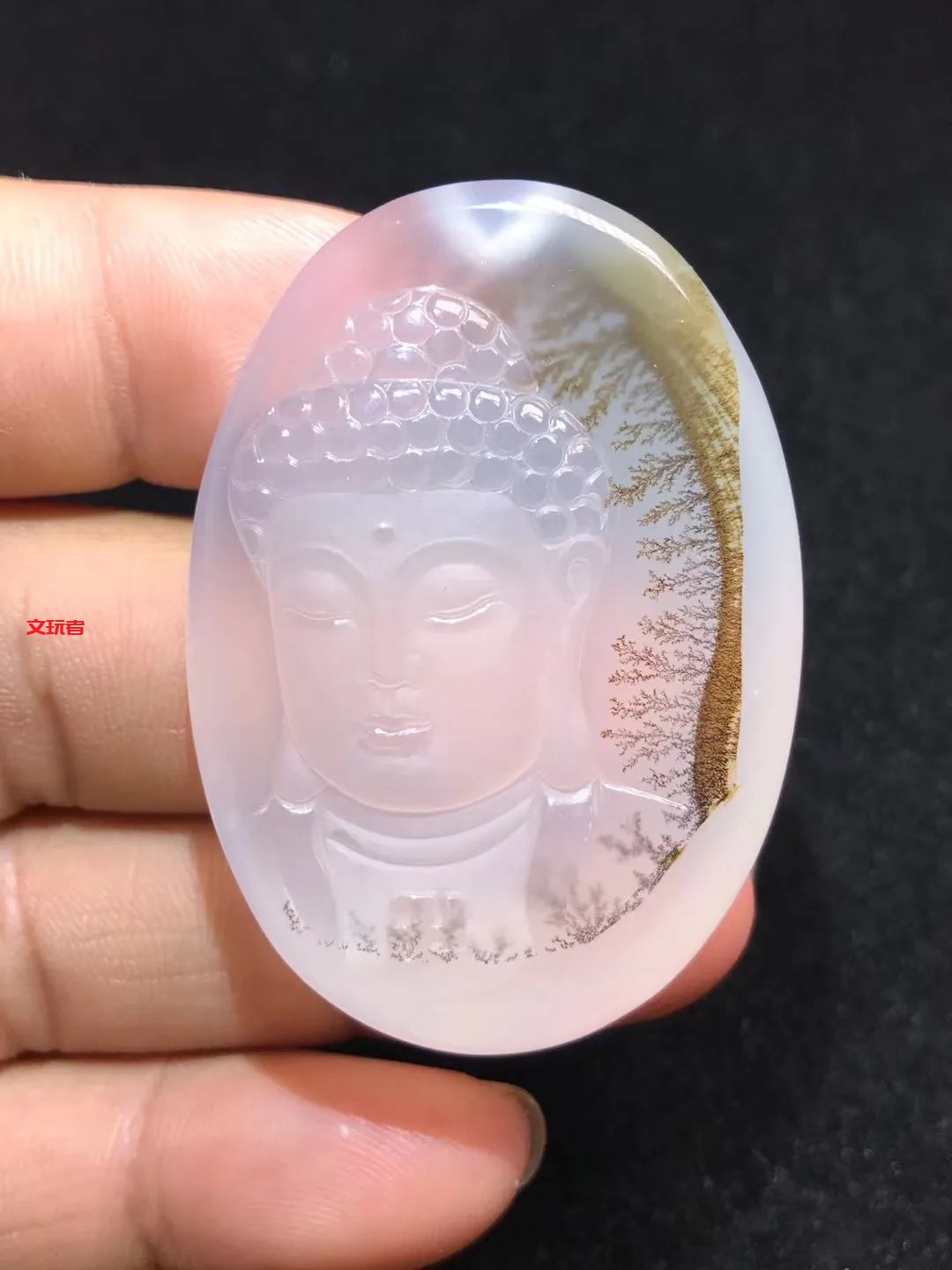 文玩界新宠，来自亿万年前海洋深处的宝贝，值得买吗？