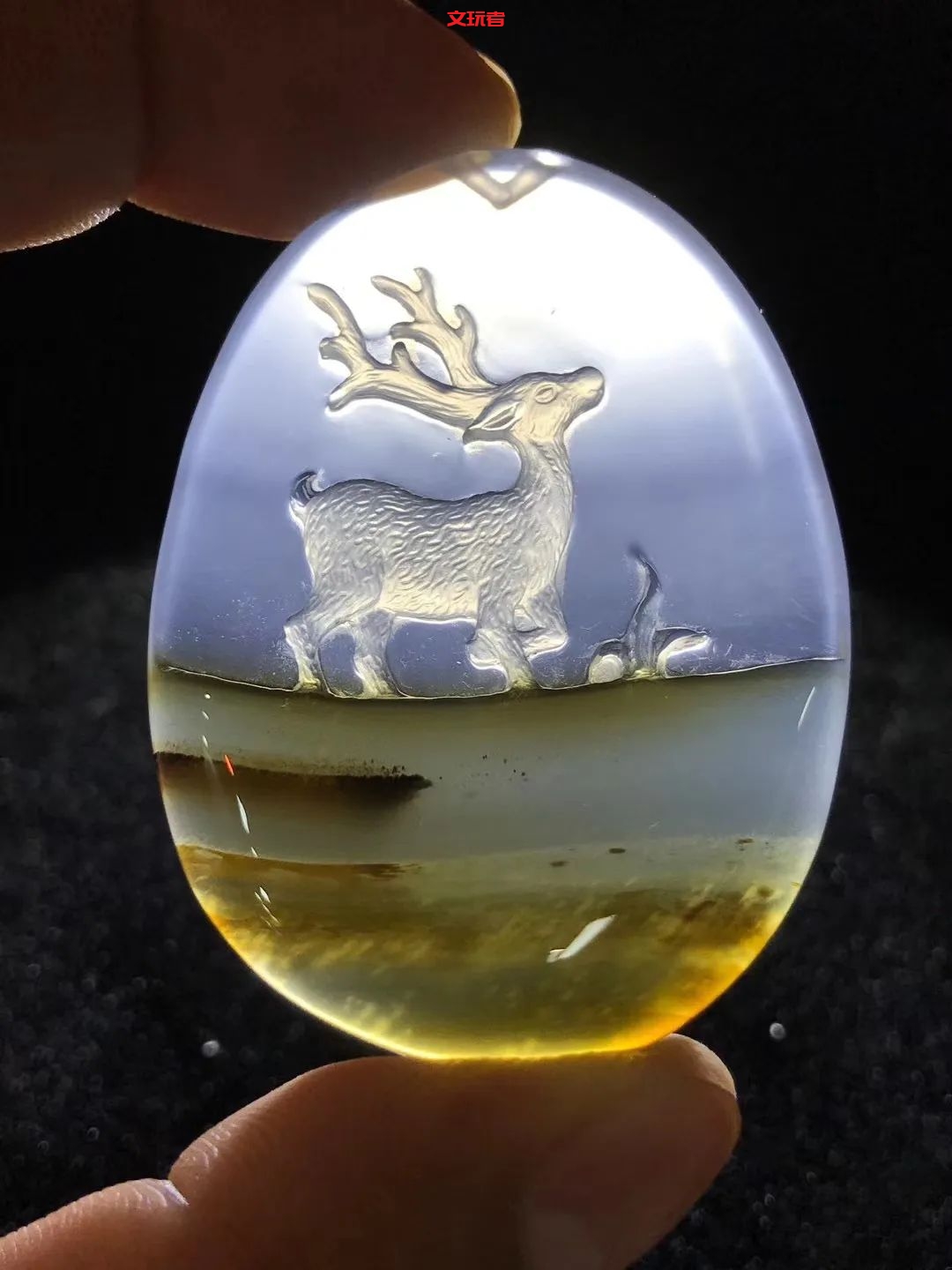 文玩界新宠，来自亿万年前海洋深处的宝贝，值得买吗？