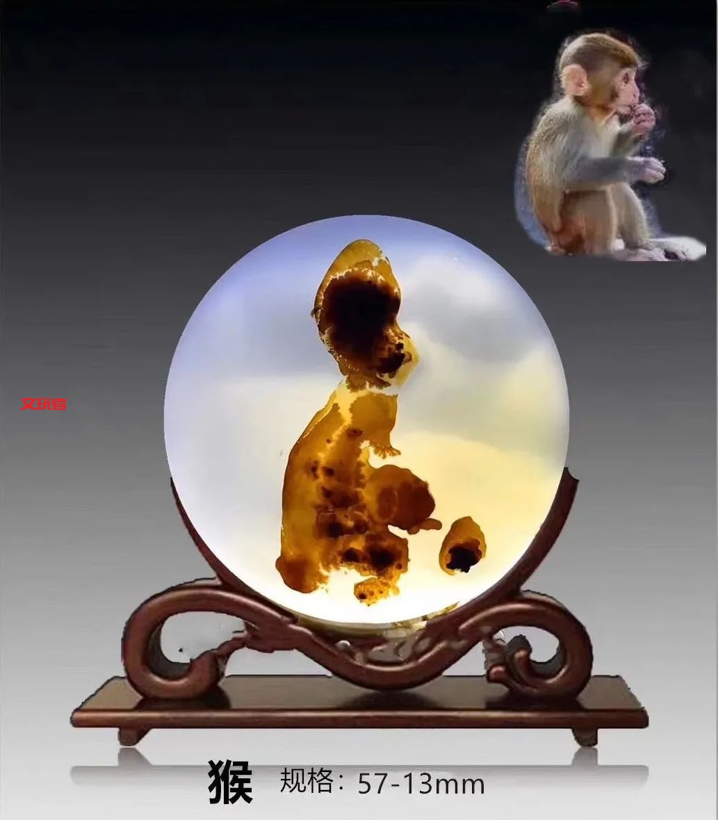 文玩界新宠，来自亿万年前海洋深处的宝贝，值得买吗？