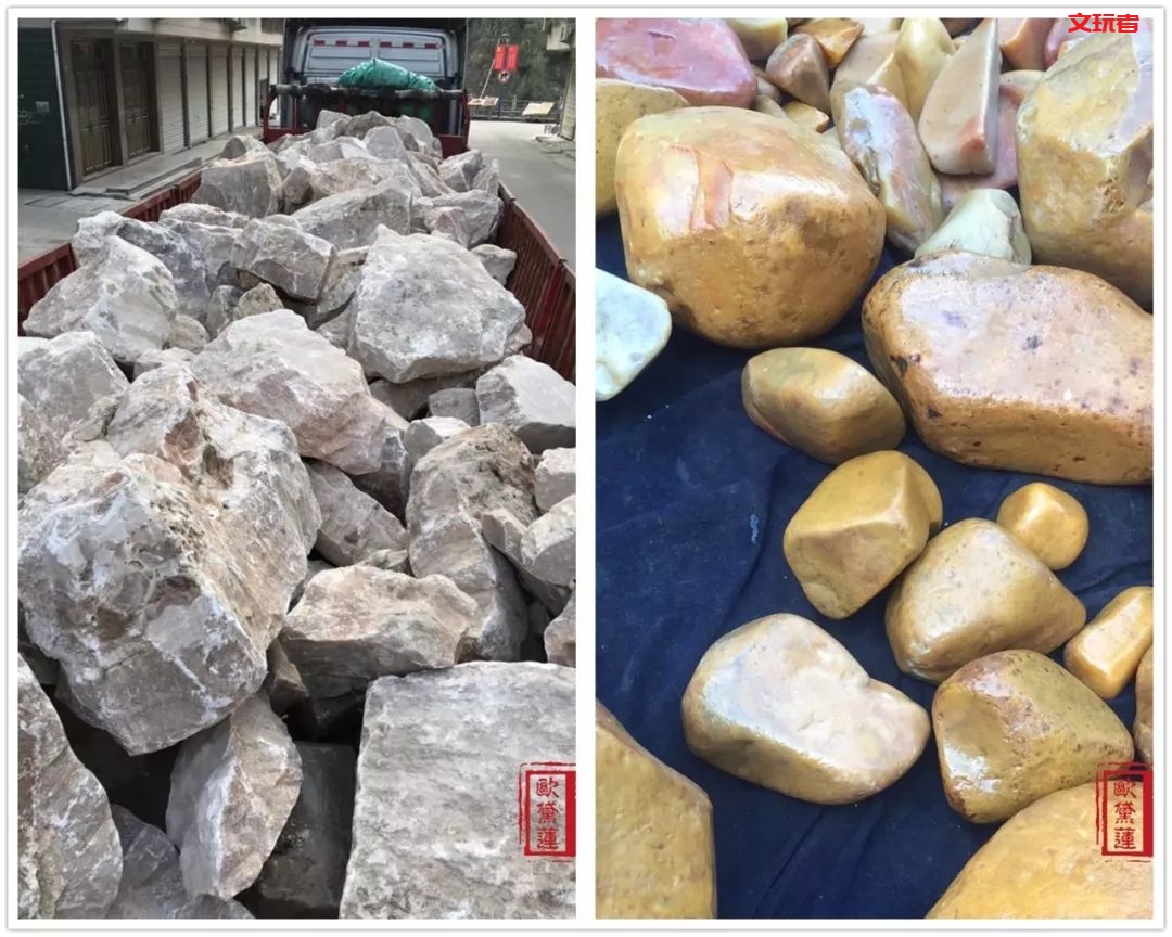 文玩界新宠，来自亿万年前海洋深处的宝贝，值得买吗？