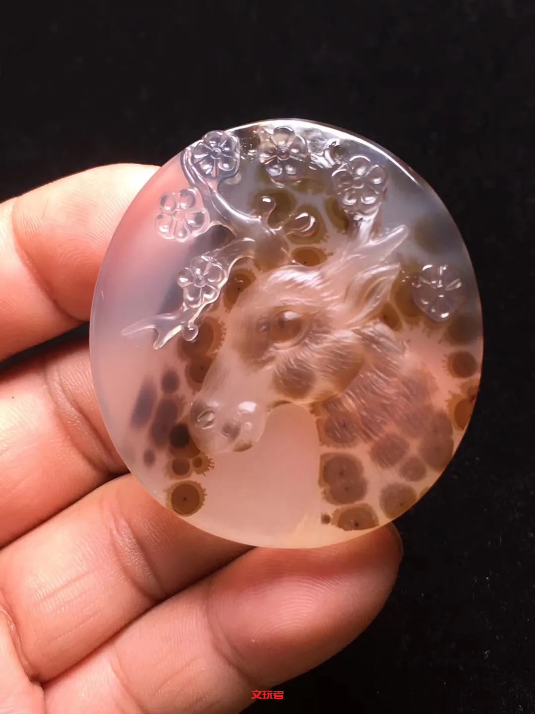 文玩界新宠，来自亿万年前海洋深处的宝贝，值得买吗？