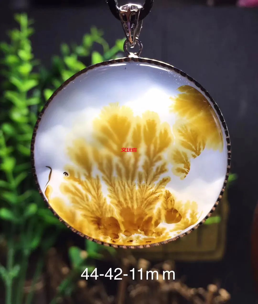 文玩界新宠，来自亿万年前海洋深处的宝贝，值得买吗？