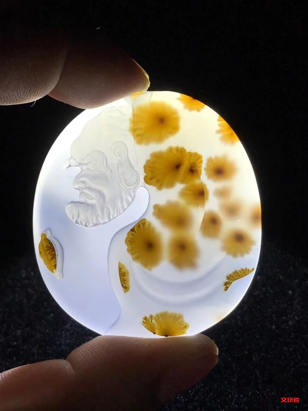 文玩界新宠，来自亿万年前海洋深处的宝贝，值得买吗？