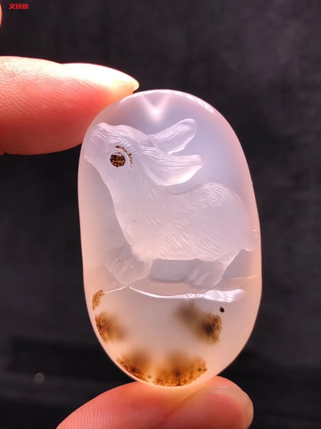 文玩界新宠，来自亿万年前海洋深处的宝贝，值得买吗？