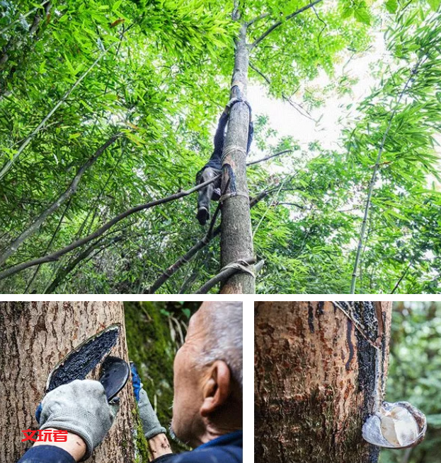 很多人的新宠——8000年的奢华，你想玩玩吗？