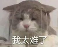 别吹了，这些收藏品很难卖出去！