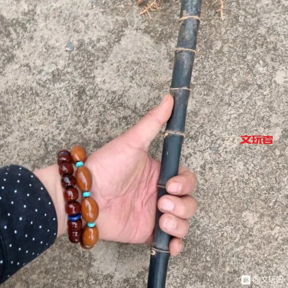 听说这是文玩人眼中的春天