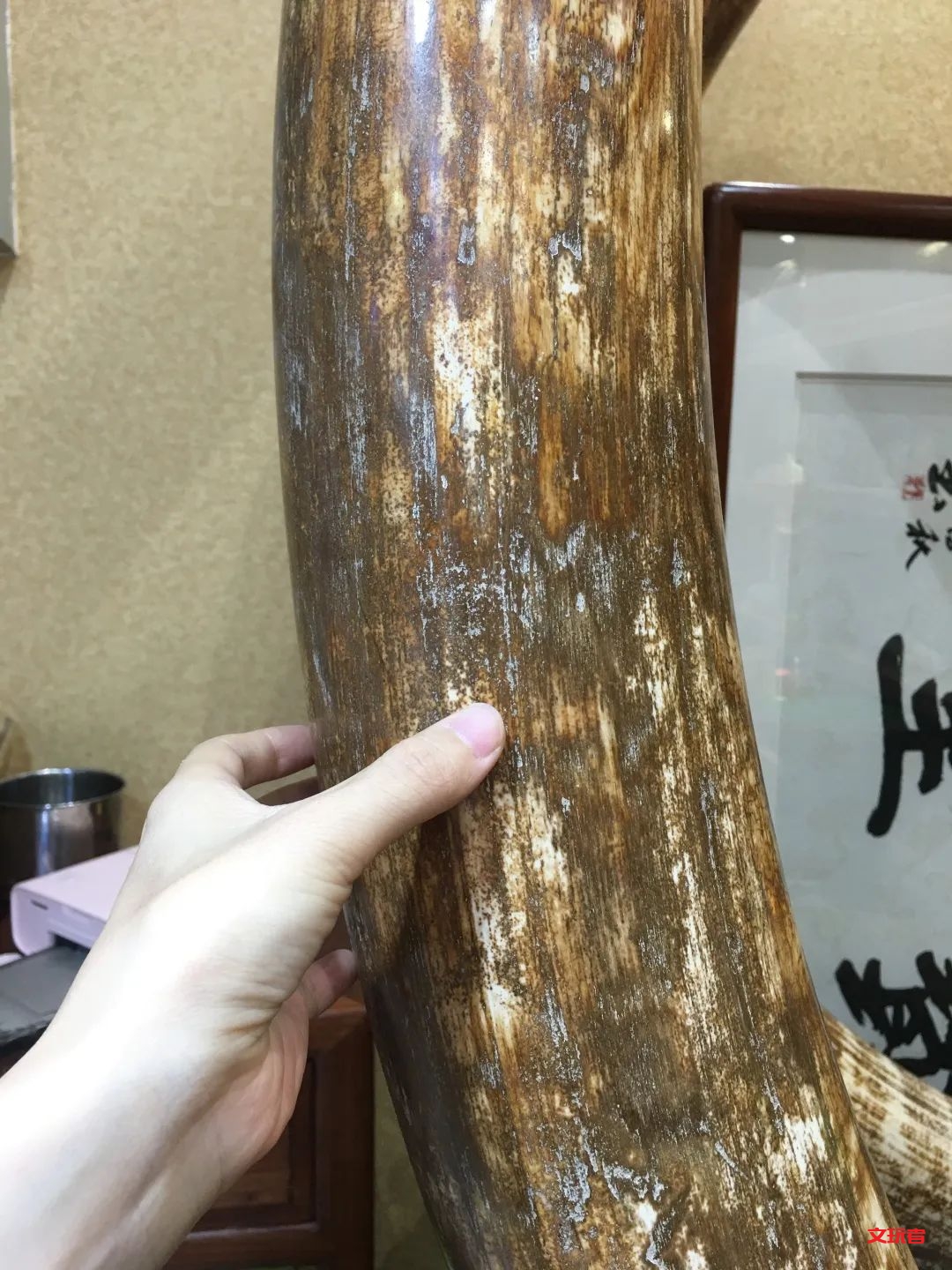 文玩收藏的下一个风口浪尖来了，盘它！！！