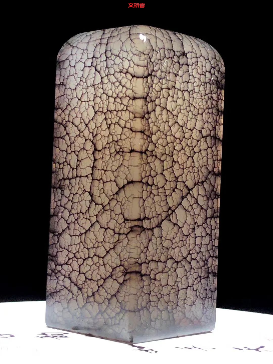 文玩界新宠，来自亿万年前海洋深处的宝贝，值得买吗？