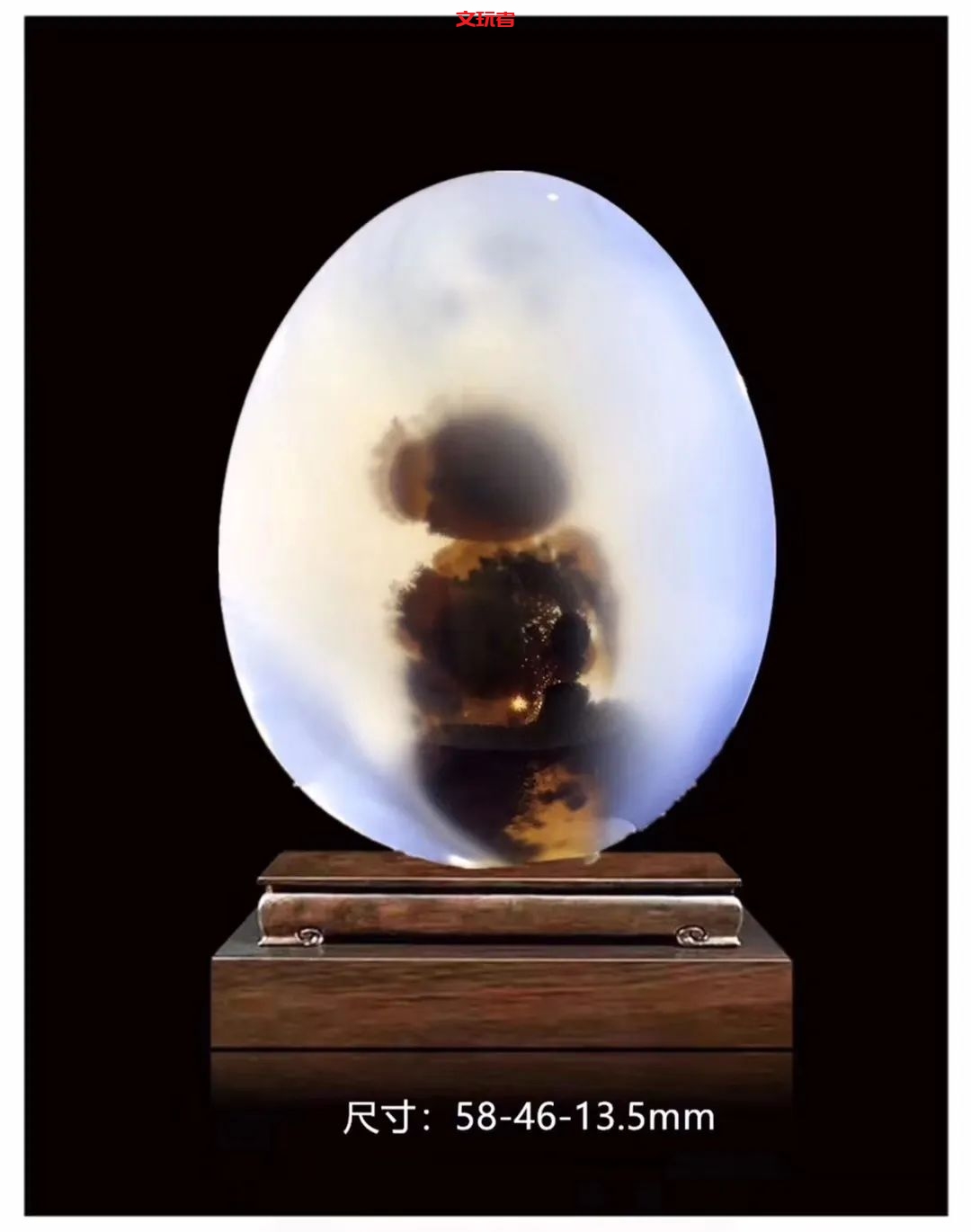 文玩界新宠，来自亿万年前海洋深处的宝贝，值得买吗？