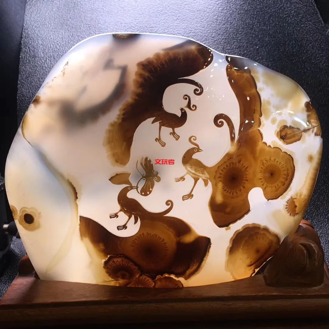 文玩界新宠，来自亿万年前海洋深处的宝贝，值得买吗？