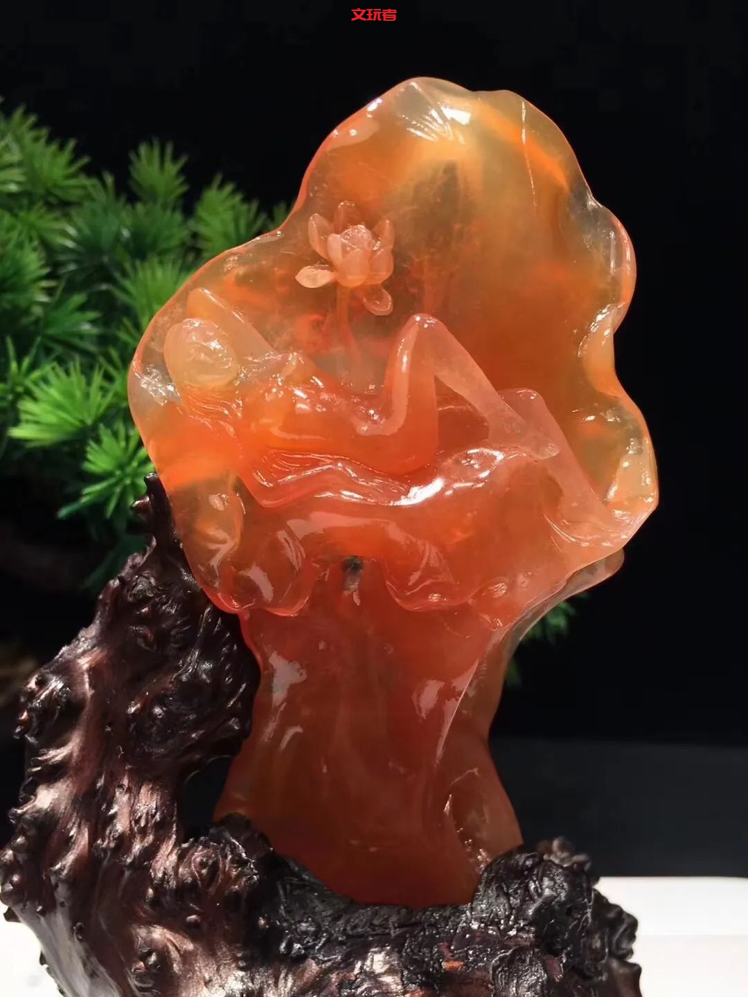 文玩界新宠，来自亿万年前海洋深处的宝贝，值得买吗？