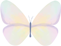 看到这块黄色石头，我竟然流出了口水！！！