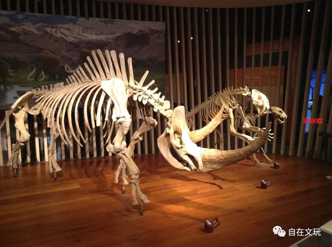 别买了，那些所谓卖披毛犀角的商家99%都是骗子！