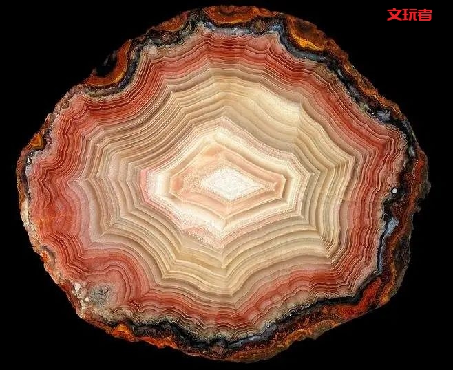 文玩界新宠，来自亿万年前海洋深处的宝贝，值得买吗？