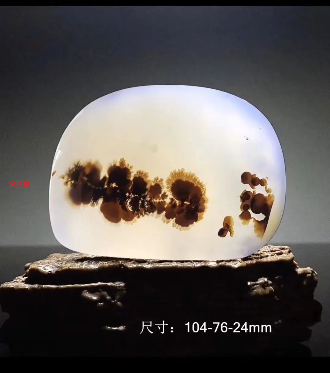 文玩界新宠，来自亿万年前海洋深处的宝贝，值得买吗？