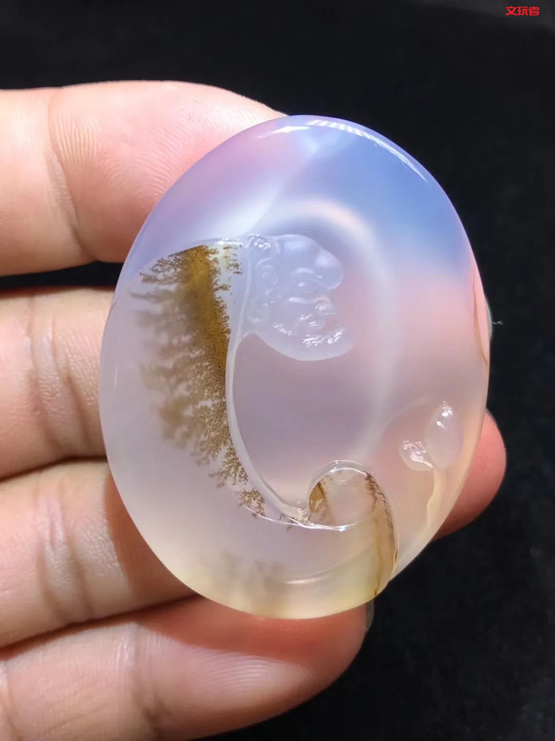 文玩界新宠，来自亿万年前海洋深处的宝贝，值得买吗？