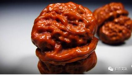 核桃圈里最坑人的品种----蛤蟆头