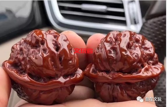 核桃圈里最坑人的品种----蛤蟆头