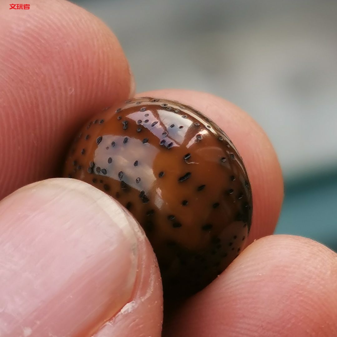 没有人能逃过真香定律，我们文玩人就是这么善变！