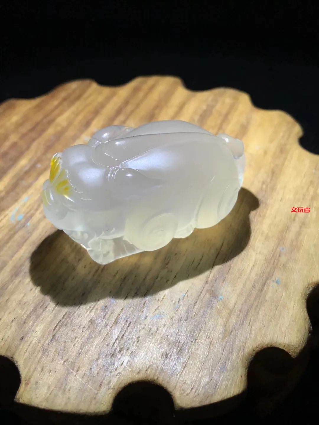 文玩界新宠，来自亿万年前海洋深处的宝贝，值得买吗？