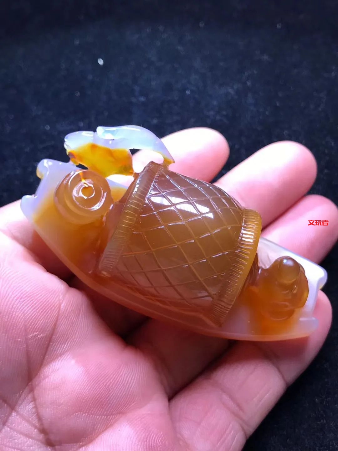 文玩界新宠，来自亿万年前海洋深处的宝贝，值得买吗？