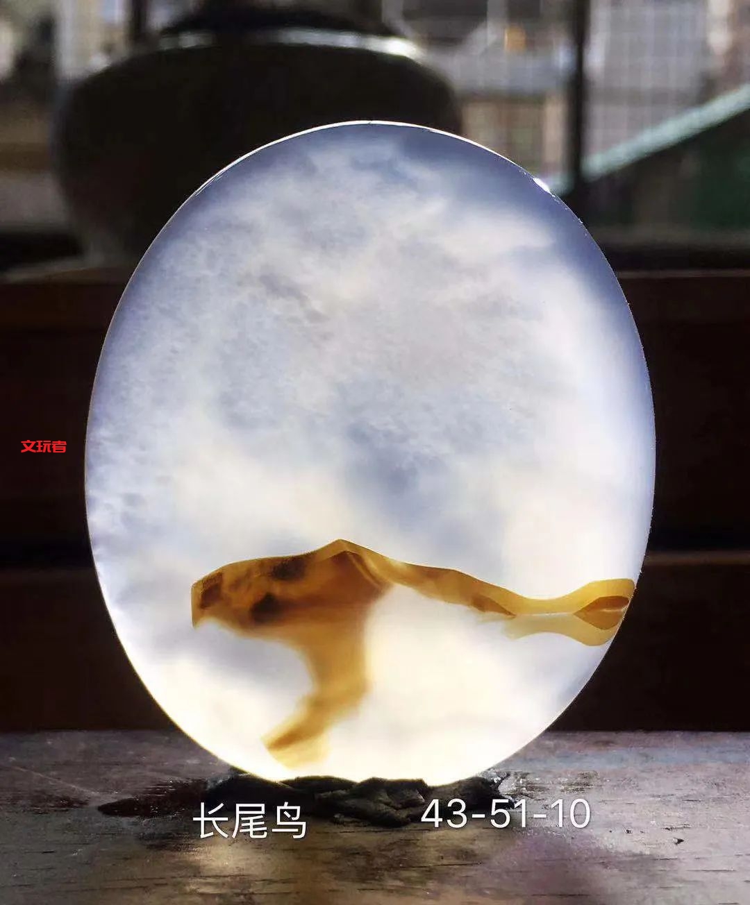 文玩界新宠，来自亿万年前海洋深处的宝贝，值得买吗？