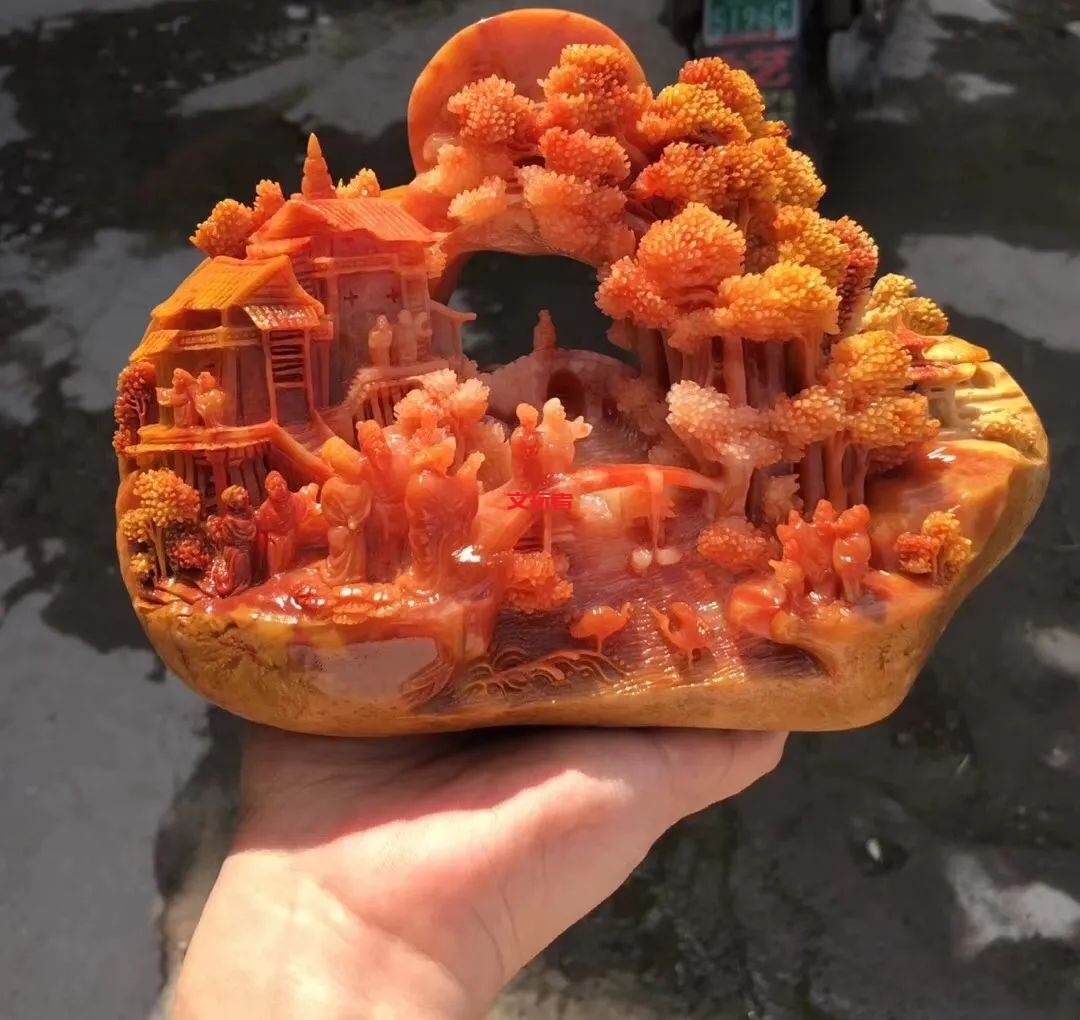 文玩界新宠，来自亿万年前海洋深处的宝贝，值得买吗？