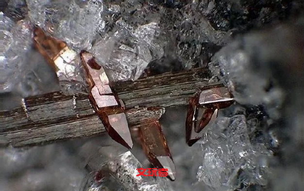 最具升值潜力的石头来了，还美到不忍直视！