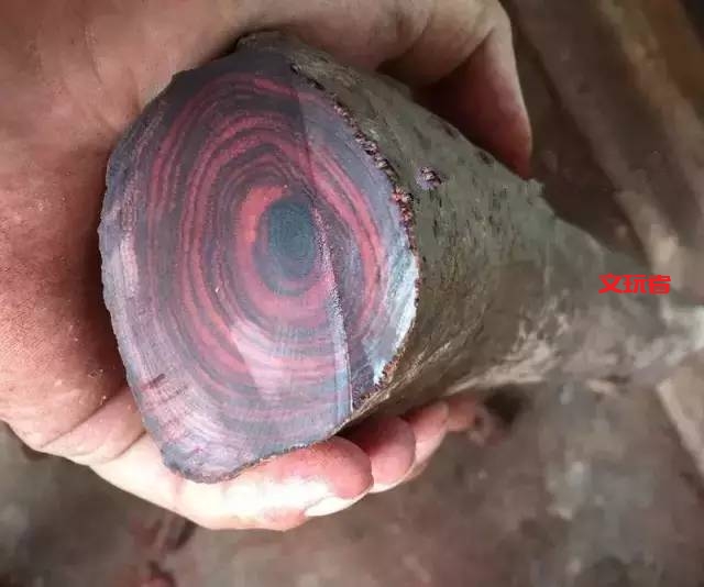 文玩是有味道的,有的香飘十里，有的臭不可闻